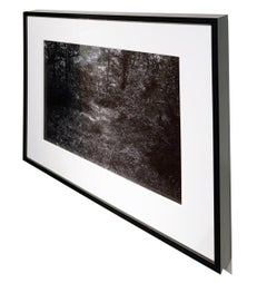 Briciola, Tuscany - Framed Black and White Photograph, Dog in Wooded Area