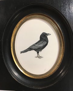 Consider the Ravens II