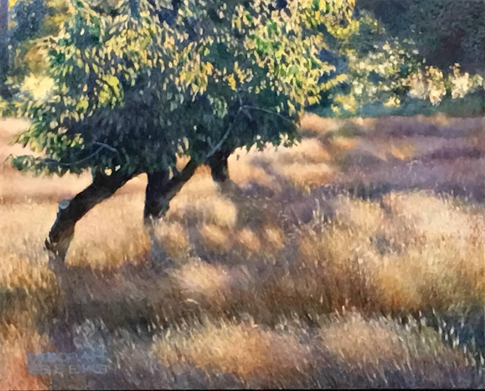 Deborah Ebbers Landscape Painting - Sunrise - Field and Trees Basked in Bright Morning Light, Oil on Canvas Painting