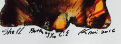 Shell Butterfly Print
