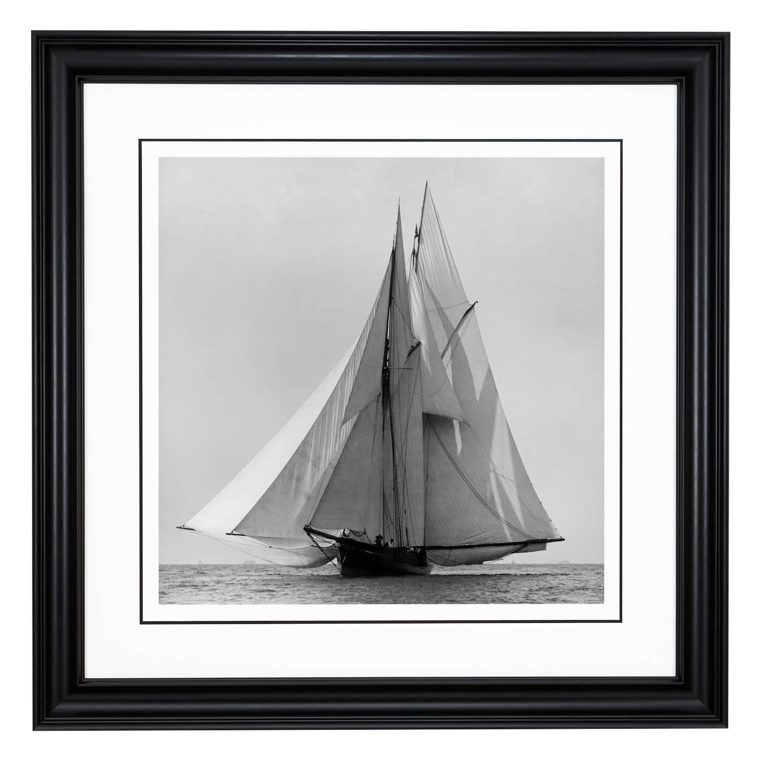 Sailing Yacht Waterwitch, 1884 - Photograph by Alfred John West