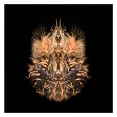 Bride - Abstract Photography