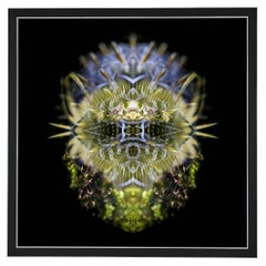 Used Bwiti - Abstract Photography