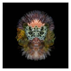 Leonix - Abstract Photography