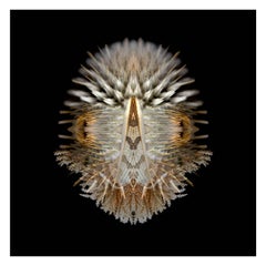 Burkinabe - Abstract Photography