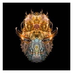 Chiwara - Abstract Photography