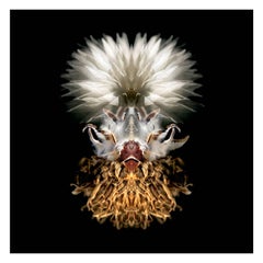Dagara - Abstract Photography