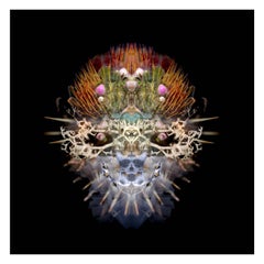 Naledi - Abstract Photography