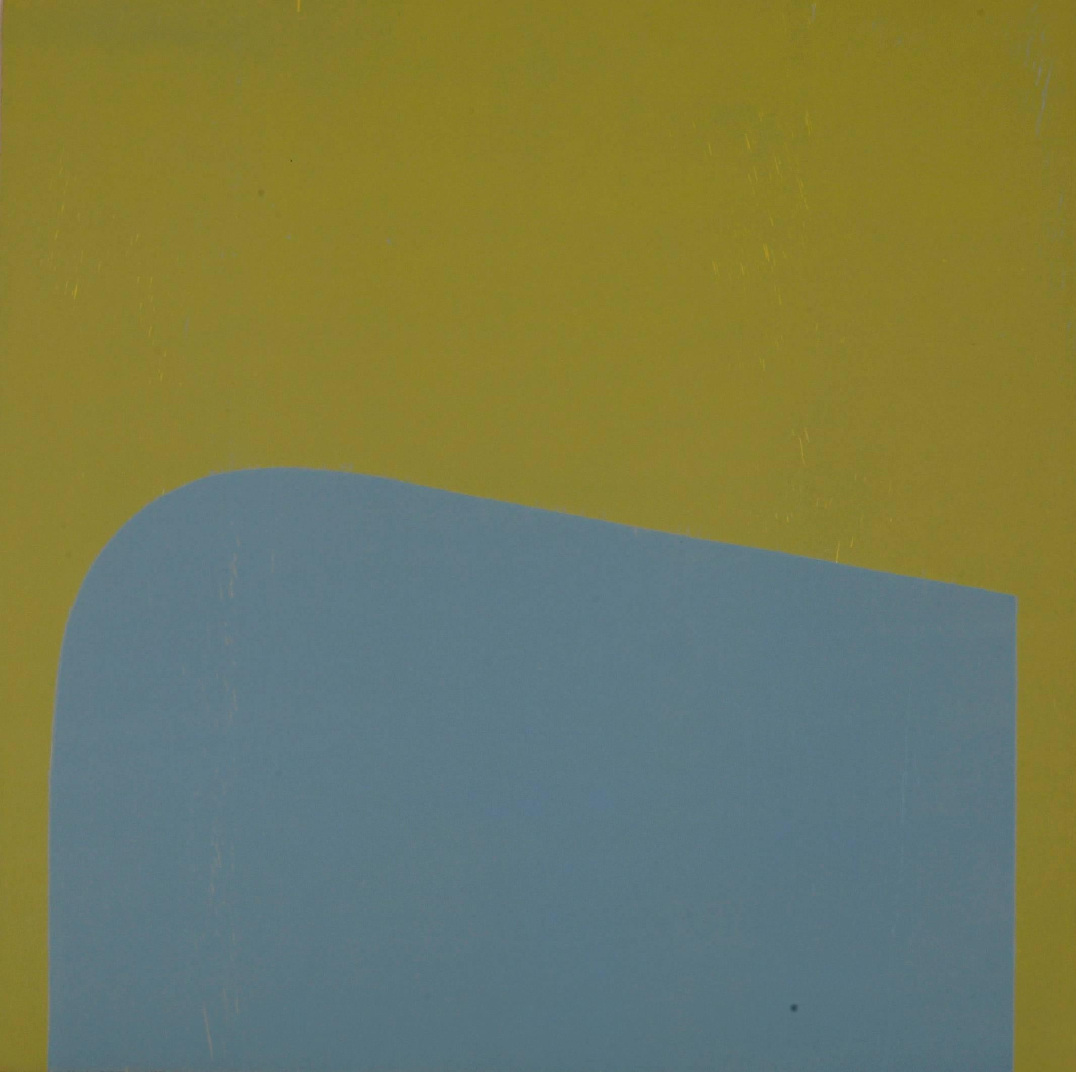 Richard Gorman Abstract Print - Acid Drop
