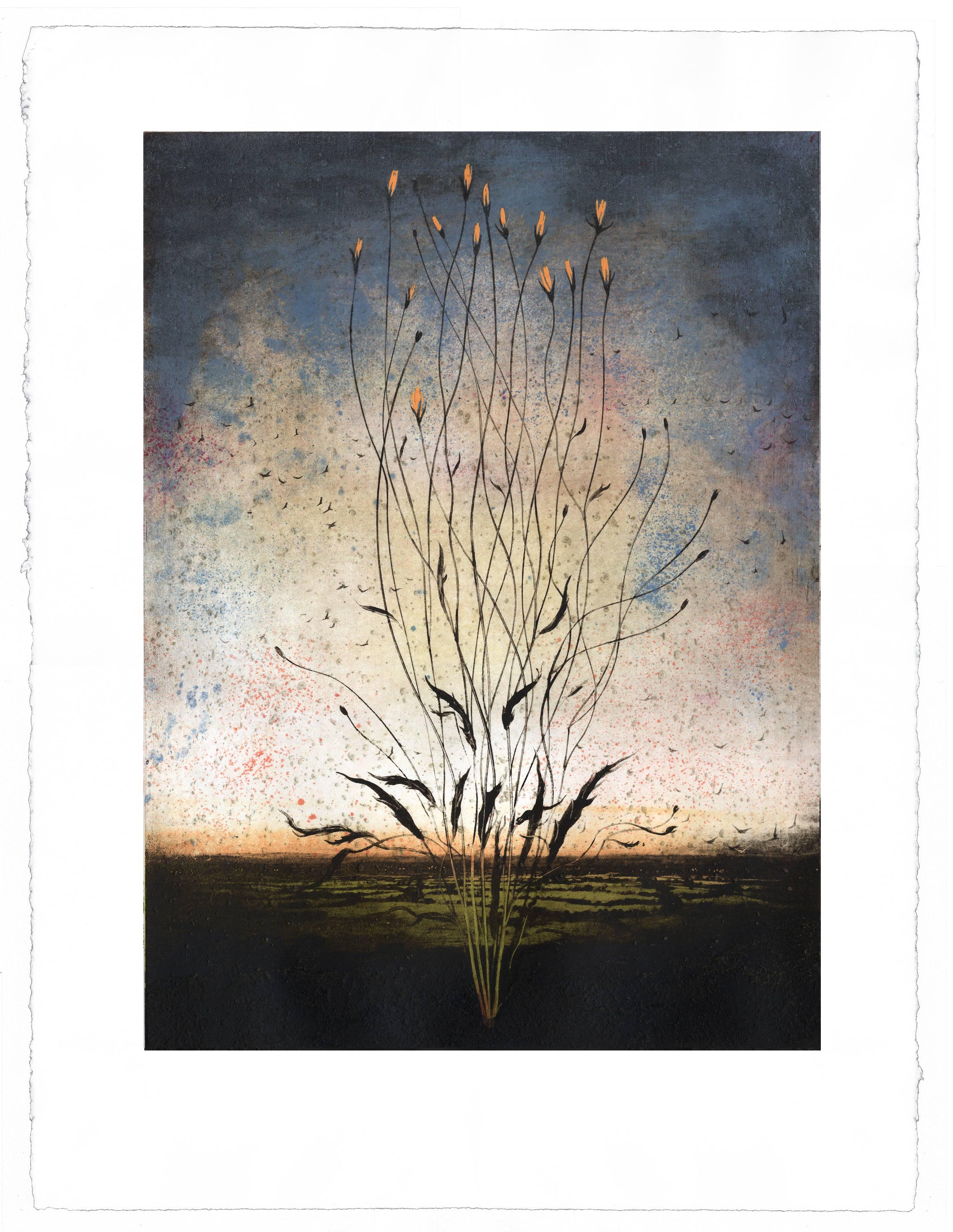 Michael Canning Landscape Print - Bardo