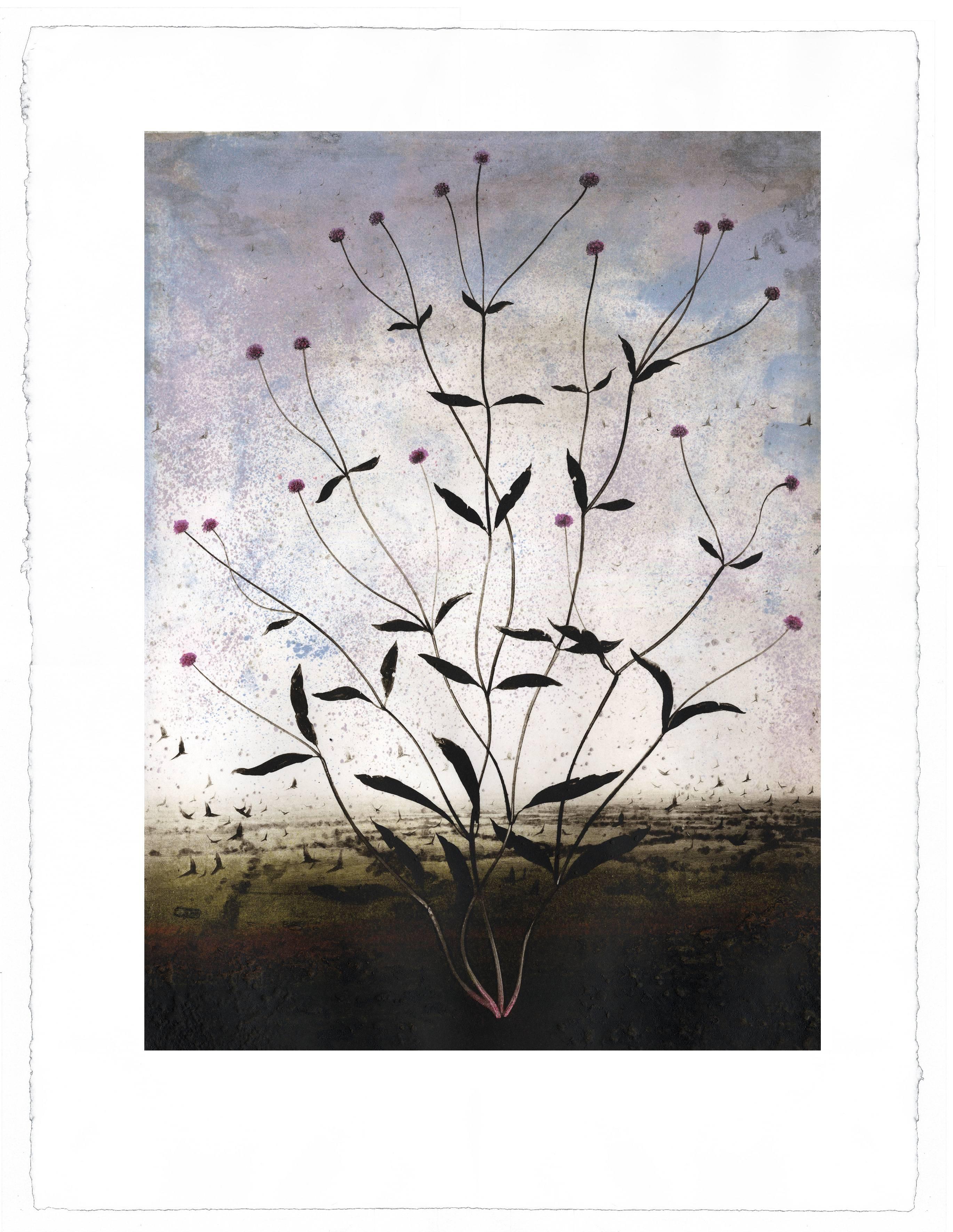 Michael Canning Landscape Print - Insomnia