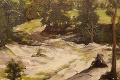Forest in Summer