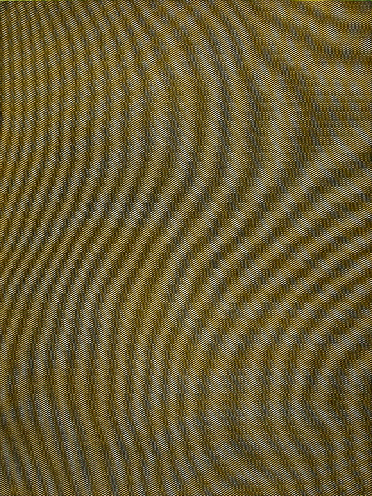 Tauba Auerbach Abstract Print - Mesh/Moire III