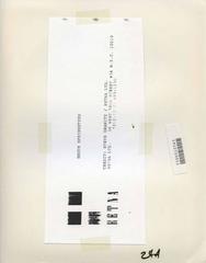 Bruce Springsteen and Clarence Clemons Vintage Original Photograph