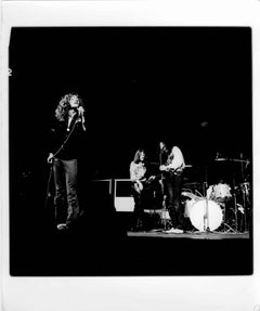 Led Zeppelin rare oversized Original Vintage photograph
