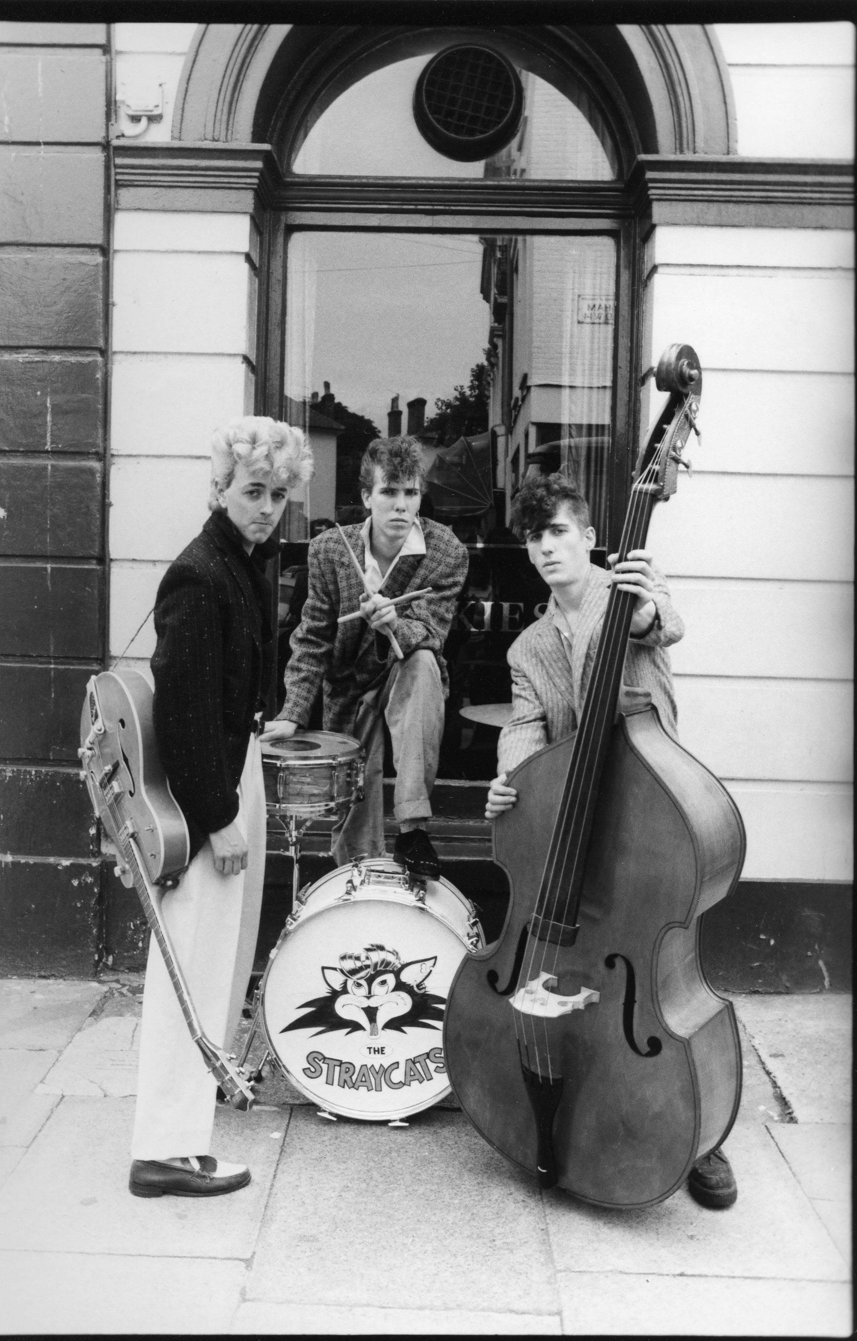 Unknown Black and White Photograph - Oversized Vintage Original Stray Cats Photograph