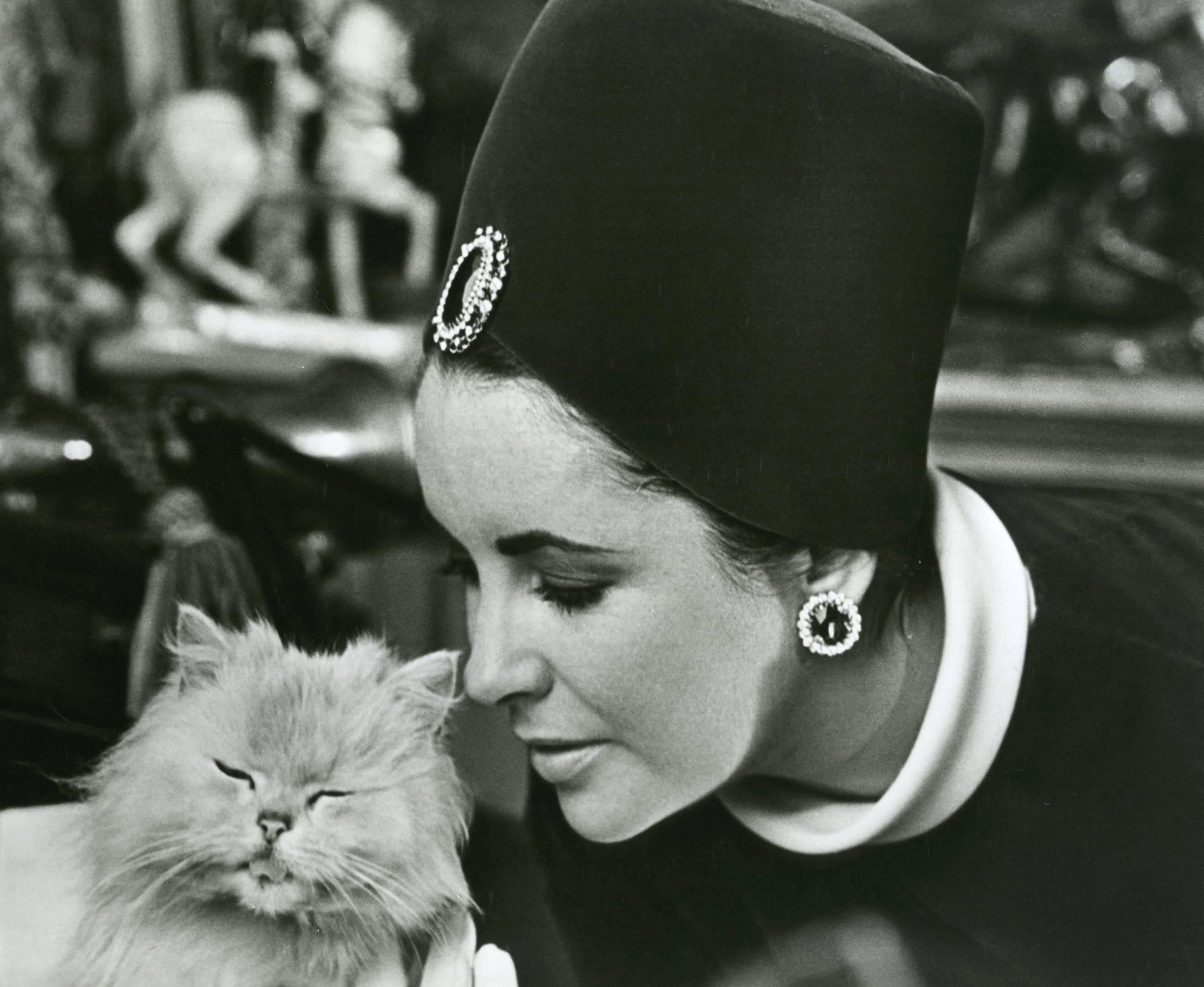 Unknown Black and White Photograph - Elizabeth Taylor close up with a cat Original Vintage Phtograph