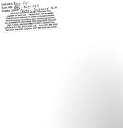 Iggy Pop Vintage Original Photograph