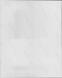 DMX and Dog Vintage Original Photograph