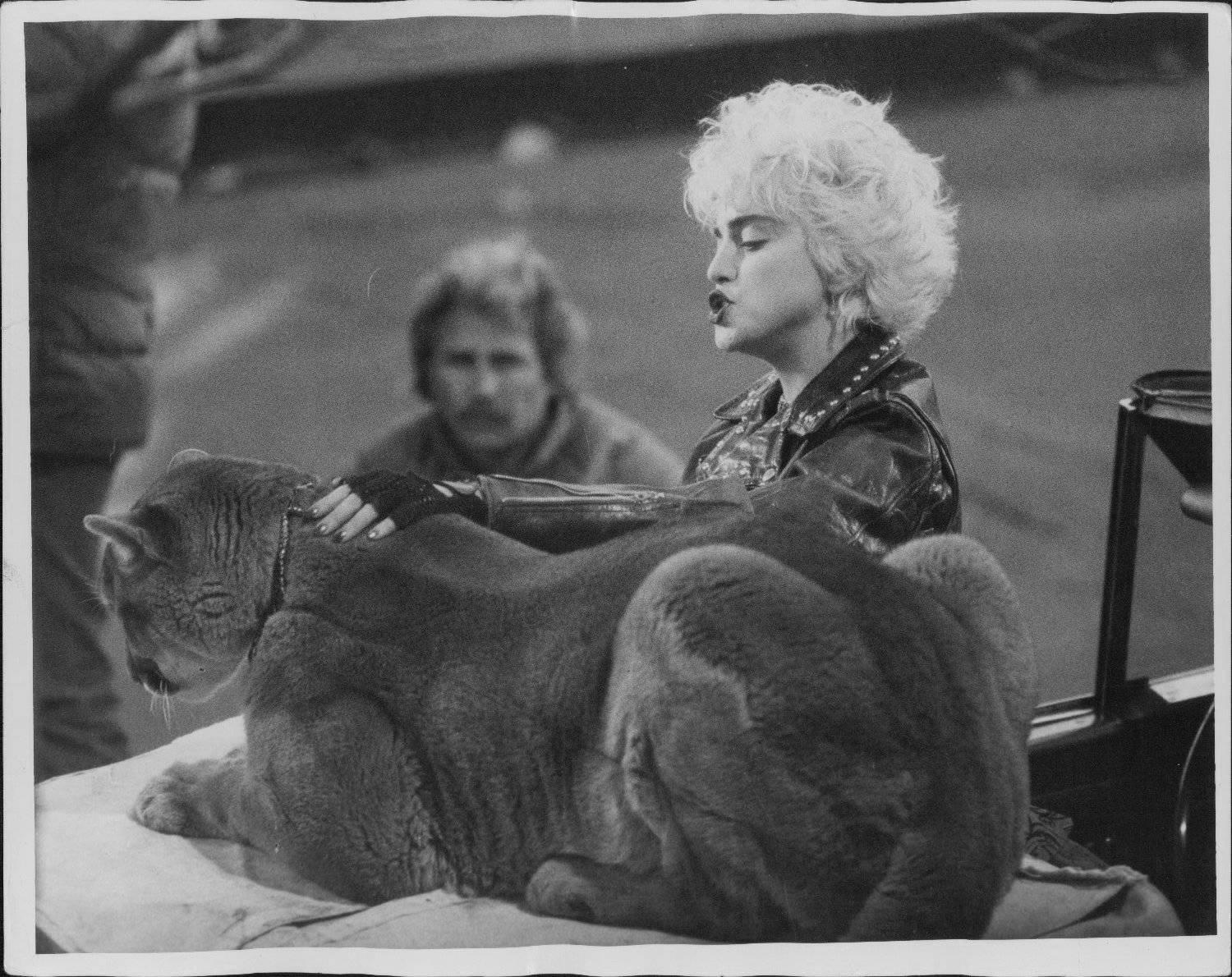 Angie Coqueran Portrait Photograph - Madonna Petting Vintage Original Photograph