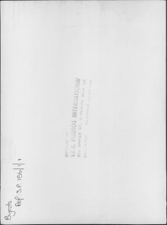 The Byrds on Brick Wall Vintage Original Photograph