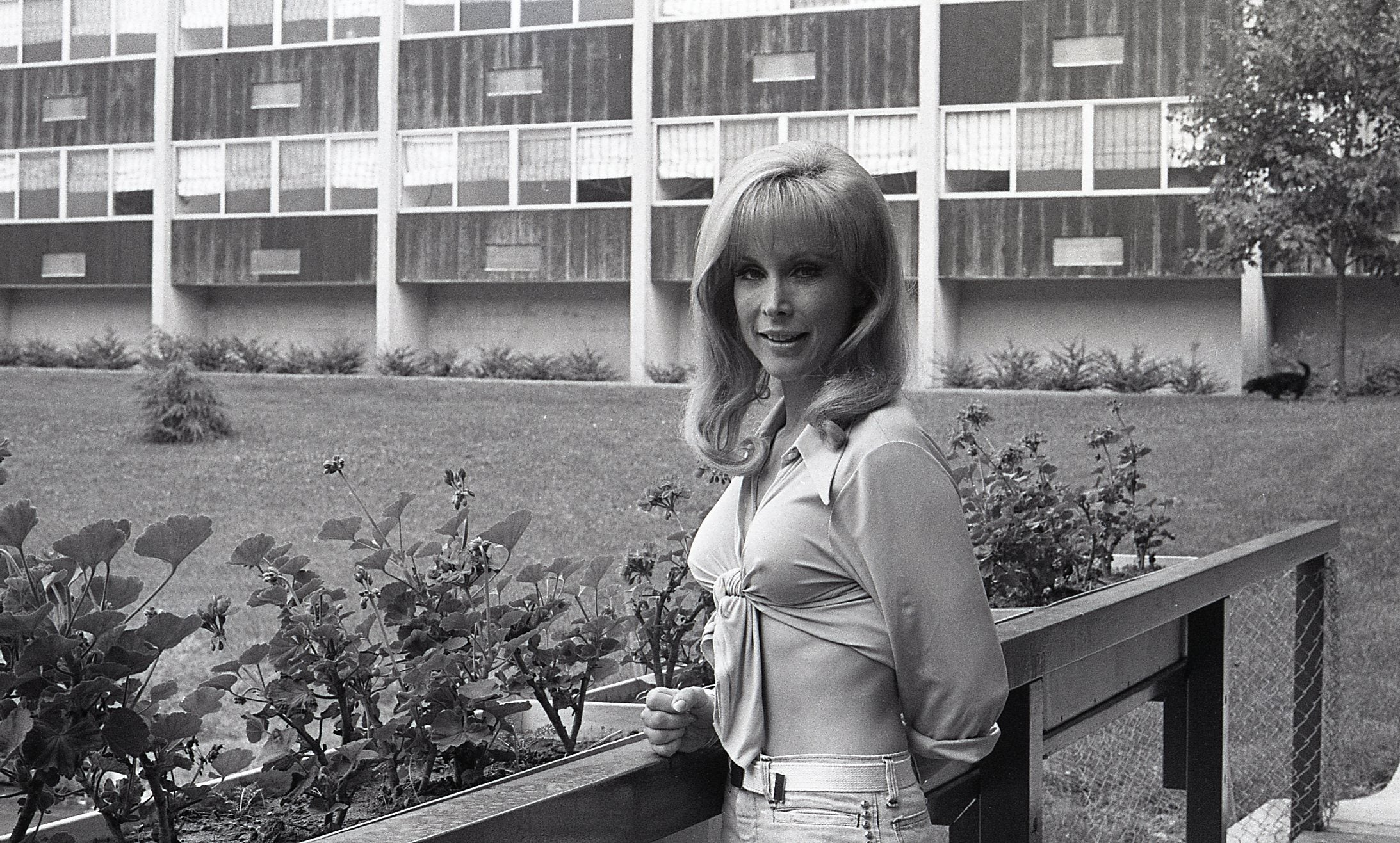 Barbara Eden Nude Photos 20 Barbara Eden Nude Photos 8