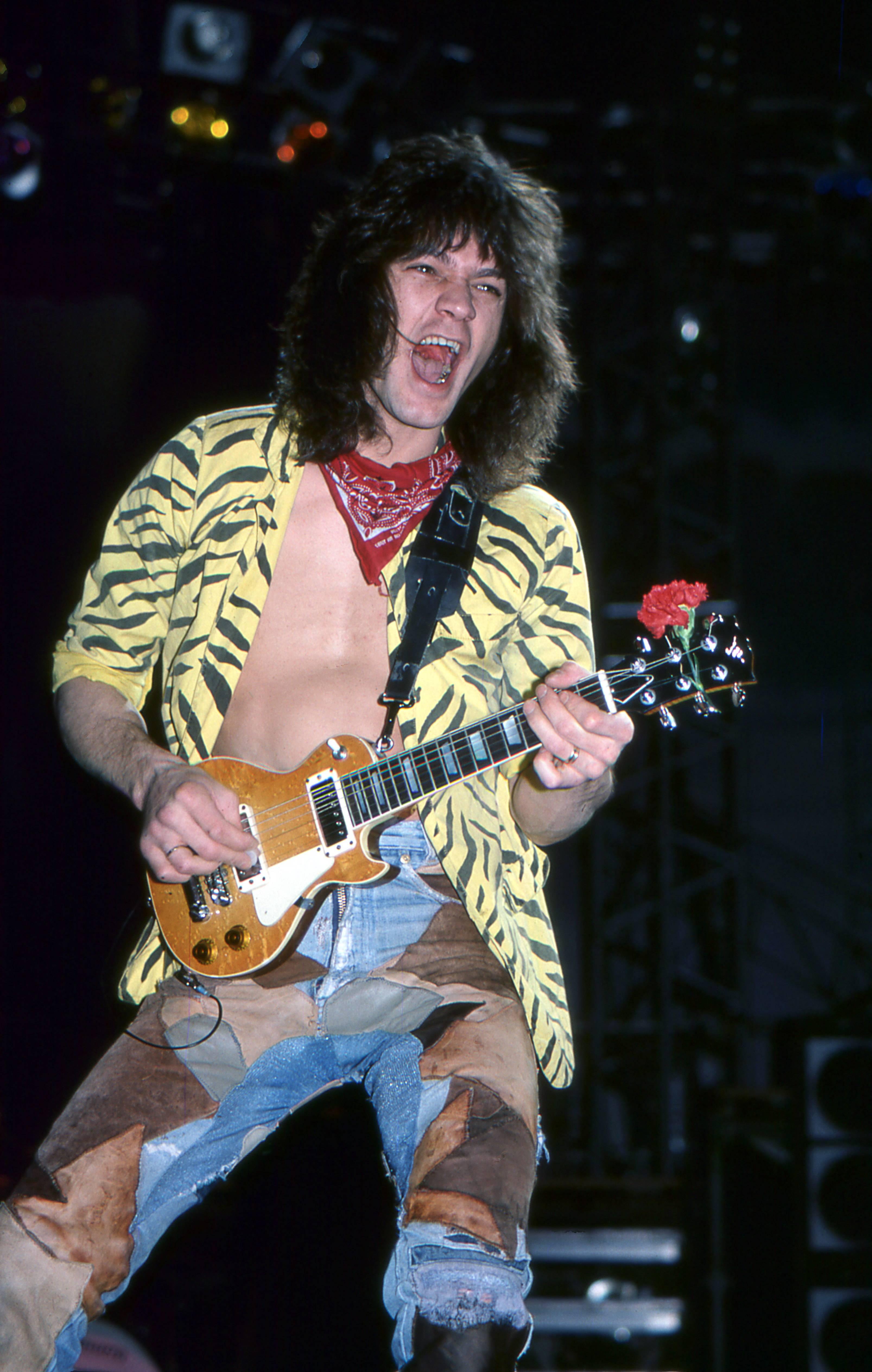 David Plastik Portrait Photograph - Eddie Van Halen in Yellow Zebra Fine Art Print