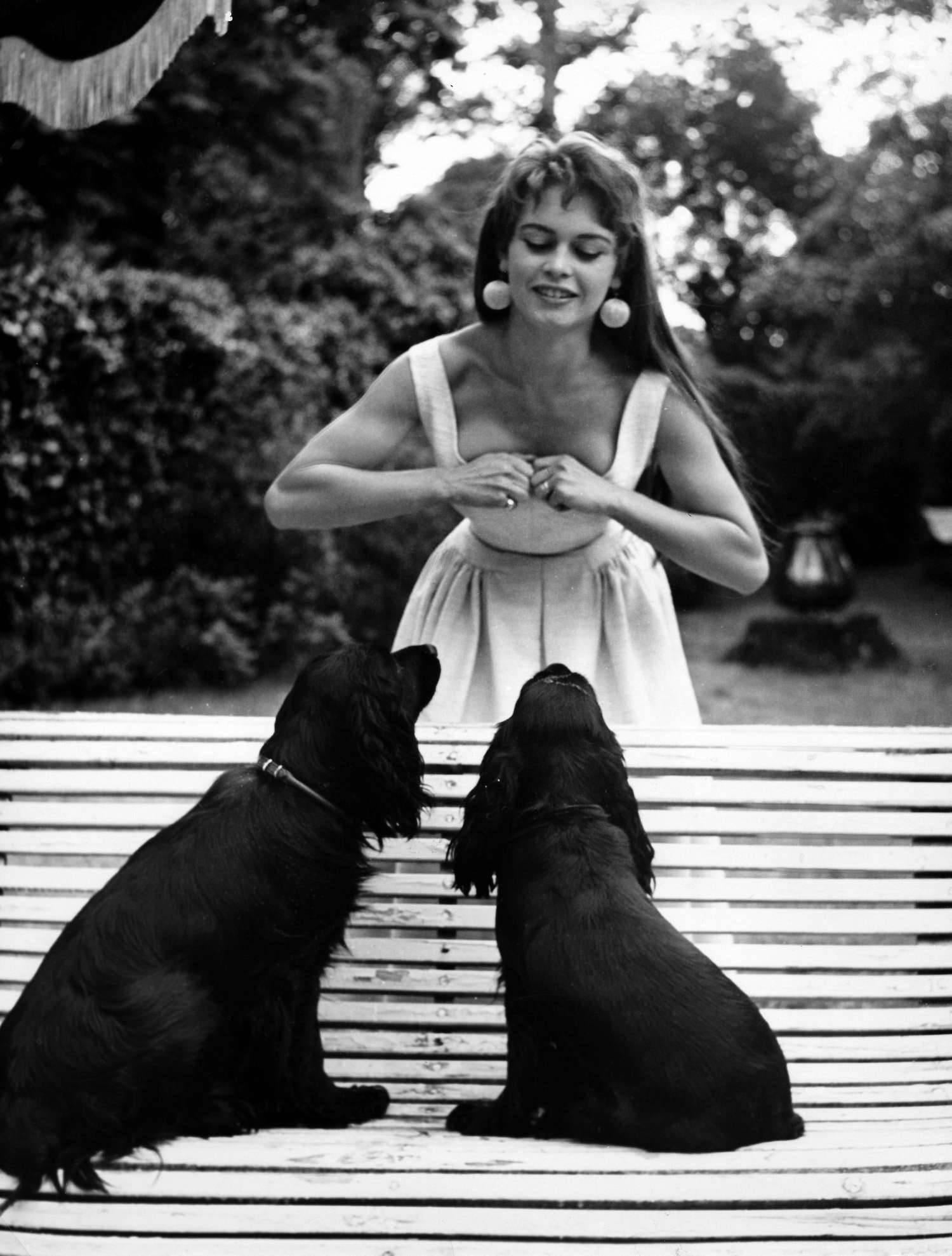 Unknown Black and White Photograph - Brigette Bardot and Her Dogs Fine Art Print