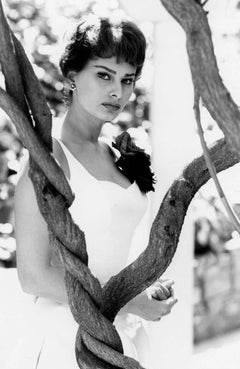 Vintage Sophia Between Branches Fine Art Print