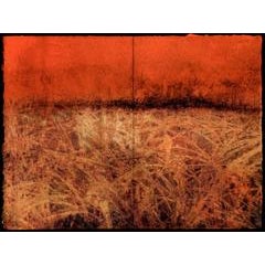 Marsh (diptych) 9