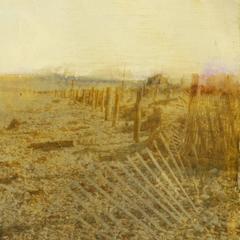 Shack in the Dunes 10