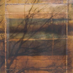 Dorothy Simpson Krause - Dark Shadows Dark Shadows