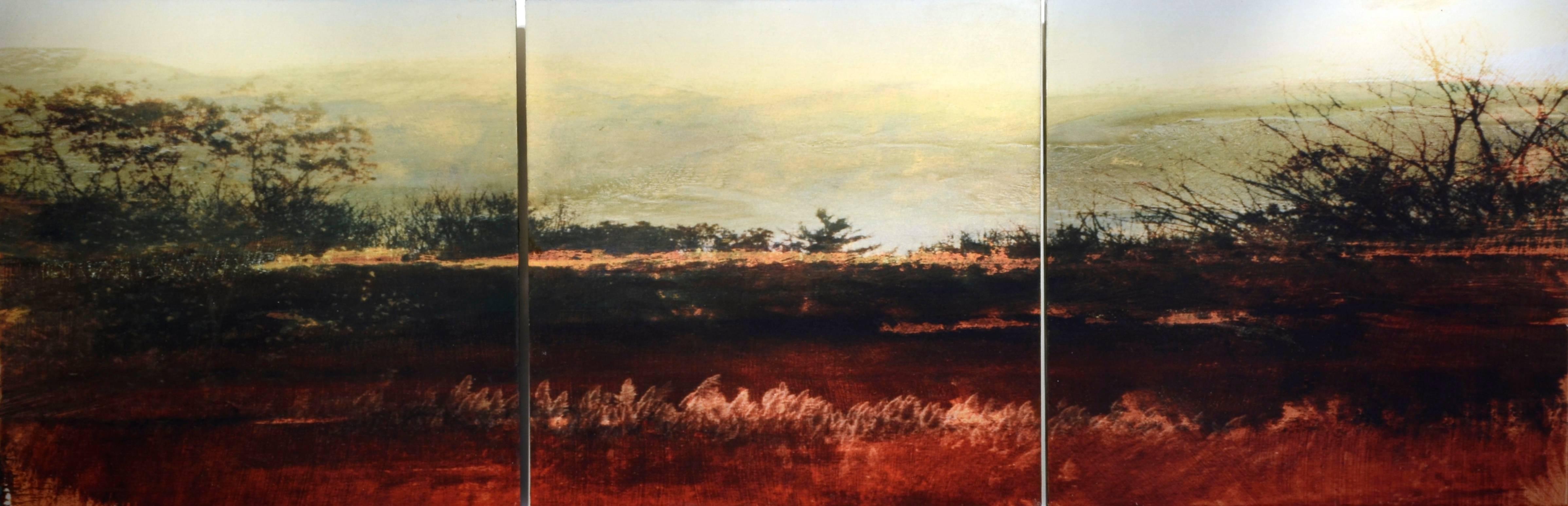 Dorothy Simpson Krause Landscape Photograph - Redmarsh