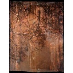 Shadows 2 6