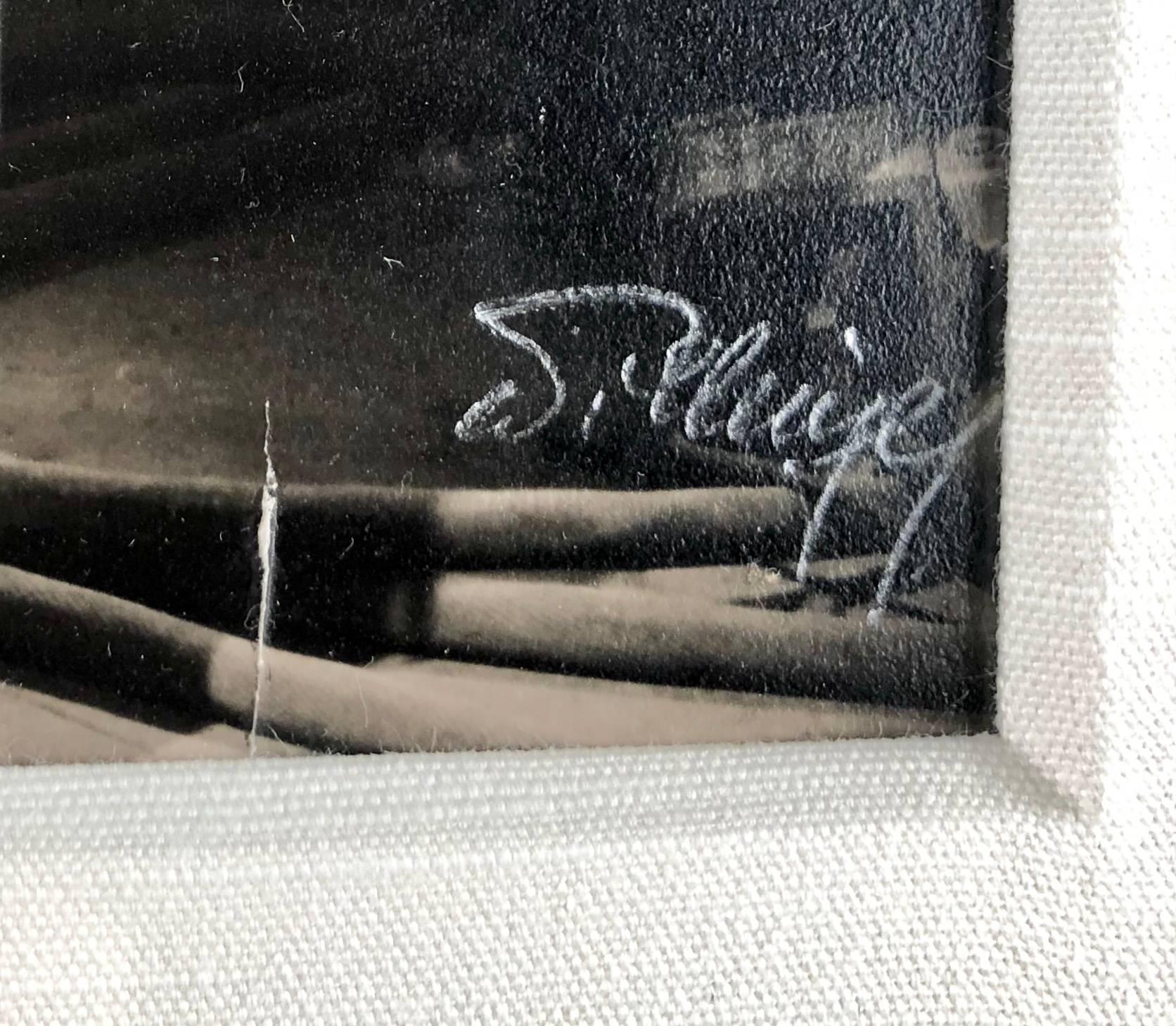 marlene dietrich pants