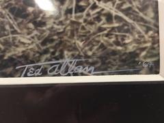 Ted Allan, "Frank Sinatra" on set of "Von Ryan's Express, " original photograph