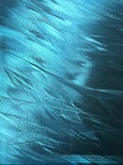 Andreas Nottebohm, "KN-2048", óleo original sobre aluminio