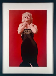 Milton Greene, "06" da Il cane pechinese seduto, stampa a pigmenti