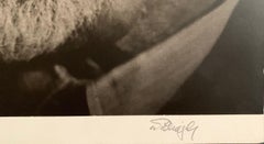 Laszlo Willinger, Sigmund Freud, fotografia