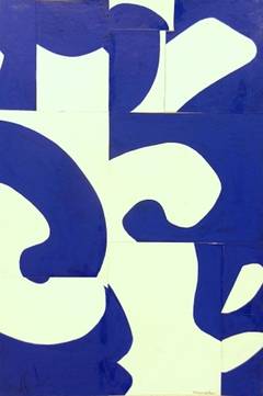 FS2223ct06
