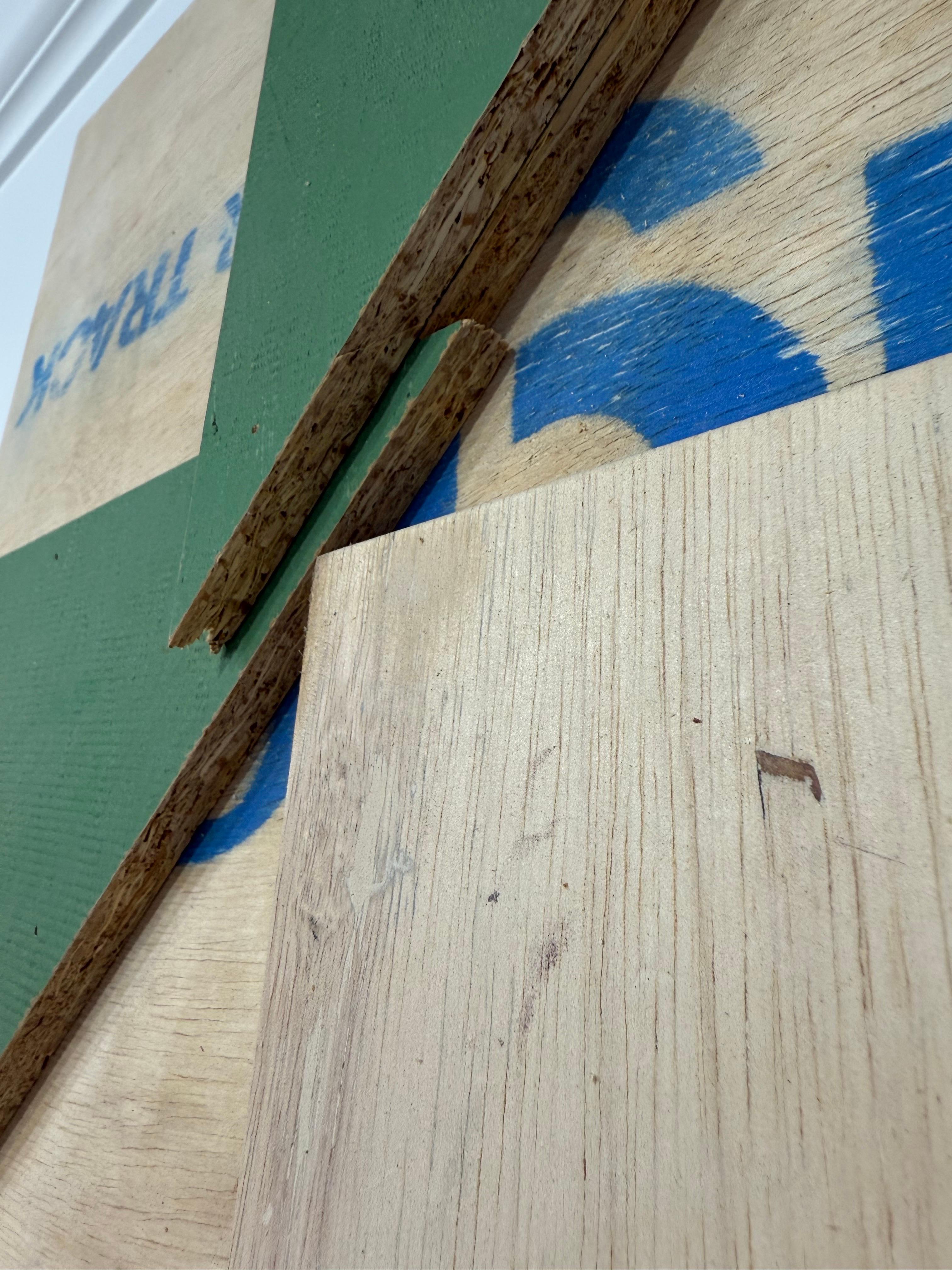 Assemblaggio in acrilico su legno dell'artista della Florida William Finlayson.
