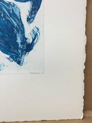 FS3623ct15