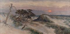 The Wassenaar dunes (1903)