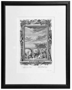 Copper Plate Engraving of a Pair of Elephants and Nautical Scene