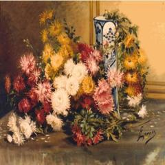 Multi Coloured Chrysanthemums in a blue and white vase