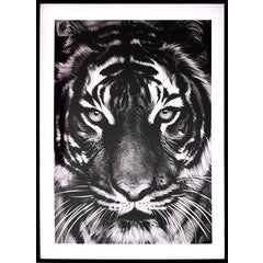Tiger 3