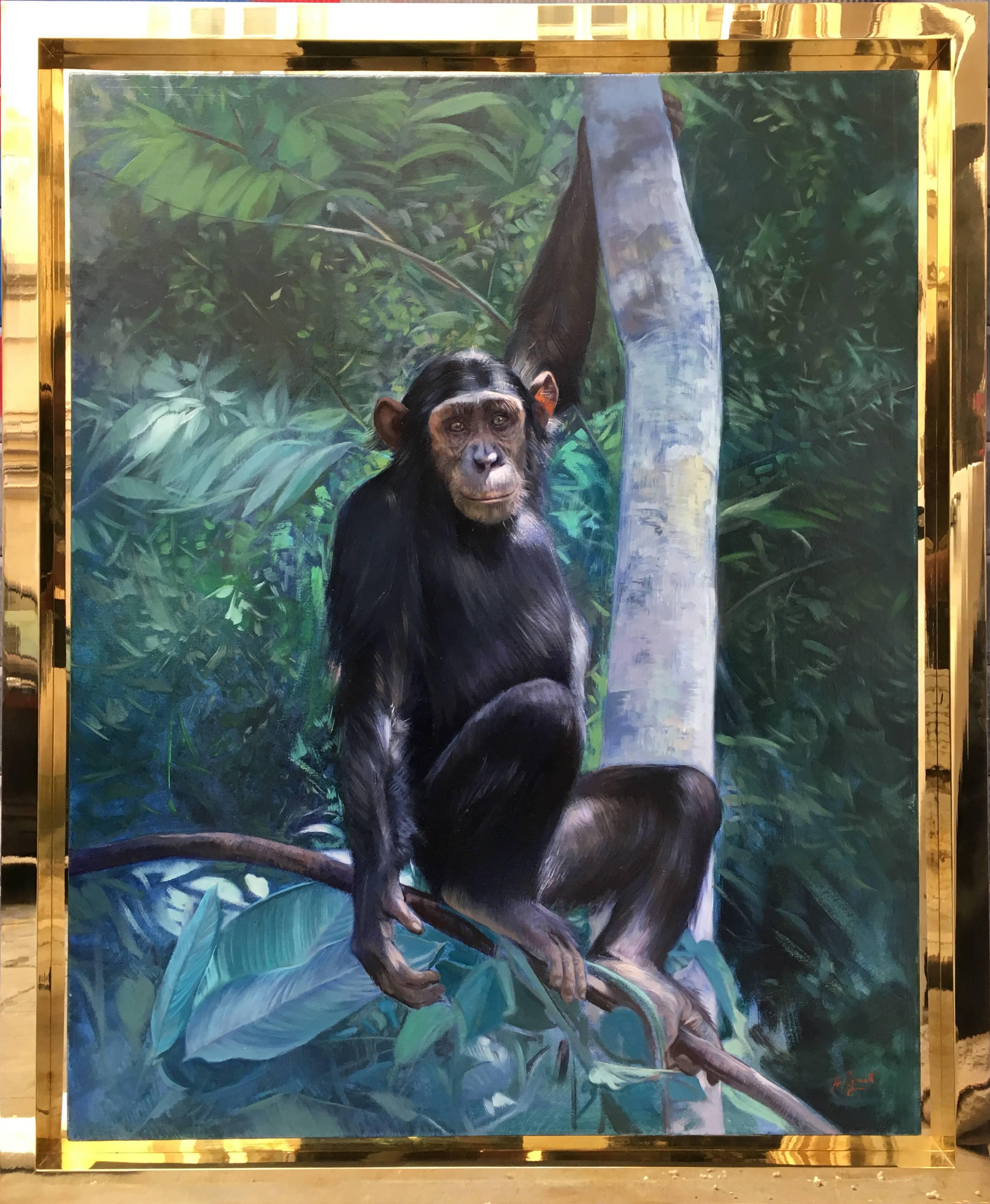 Chimpanzee - Angelo Granati - Italia 2016 -  Oil on canvas cm.100x80. Brass frame ext .mis .cm.120x100.