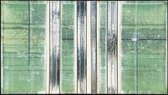 Birchmints (2)