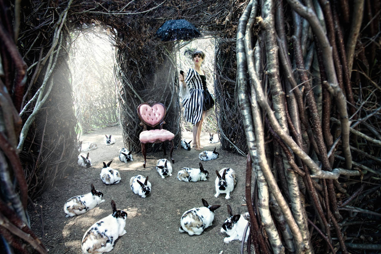 Adrien Broom Portrait Photograph - Wonder series, Untitled, [ Rabbits ]