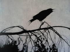 Crow crow crow
